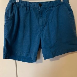 chubbies 5.5 Inseam M